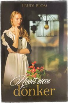 Nooit meer donker. Familieroman uit de jaren negentig