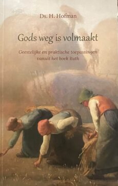 Gods weg is volmaakt. Geestelijke en praktische toepassingen vanuit het boek Ruth