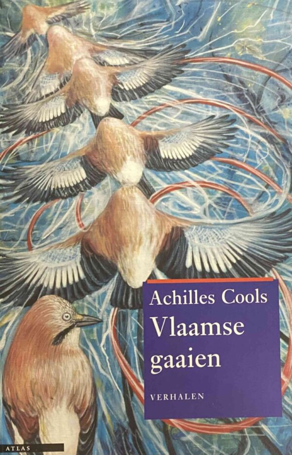 Vlaaamse gaaien. Verhalen