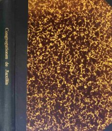 Beitrag zur Geschichte der Congregationes de Auxiliis. Inauguraldissertation