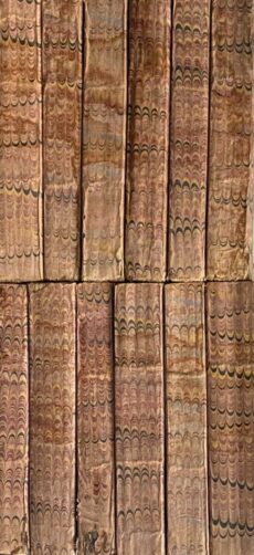 Denkwürdigkeiten aus der christlichen Archäologie, mit beständiger Rücksicht auf die gegenwärtigen Bedürfnisse der christlichen Kirche. Erster - Zwölfter und letzter Band (12-volume set)