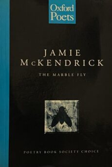 The Marble Fly (Poetry Book Society Choice)
