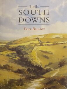 The South Downs