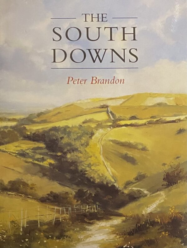 The South Downs