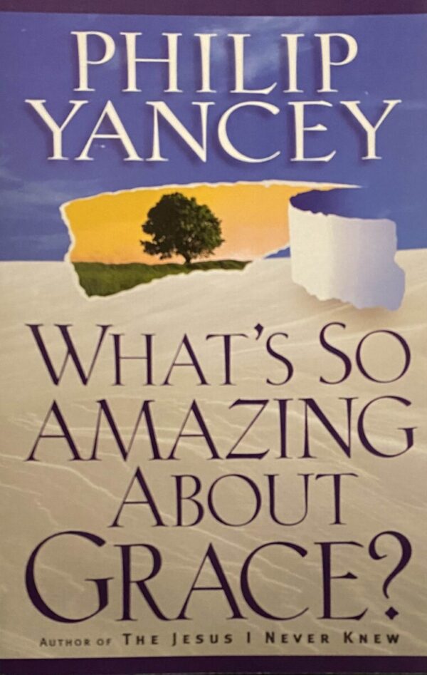 What's So Amazing About Grace?