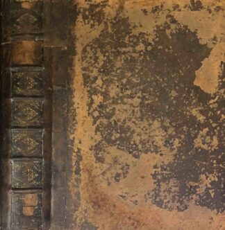 La Vie de S. Ambroise Archevesque de Milan, Docteur de l'Eglise et Confesseur. Divise'e en Douze Livres. Dont les neufs premiers contiennent l'histoire de sa Vie, & les principaux evenemens […]