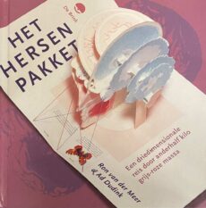 Het hersen pakket. Een driedimensionale reis door anderhalf kilo grijs-roze massa