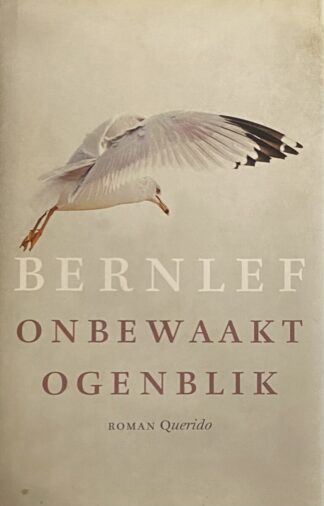 Onbewaakt ogenblik
