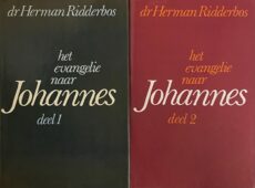 Het evangelie naar Johannes, deel 1 & 2. Proeve van een theologische exegese (2-delige set)